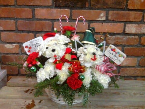 Santa Paws and Jingle Bells