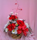 Lovely Ladybugs