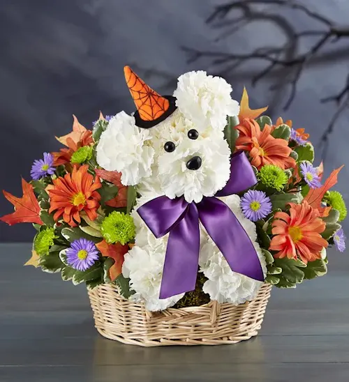 Witchy Pooch