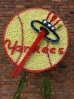 NY Yankee's Logo