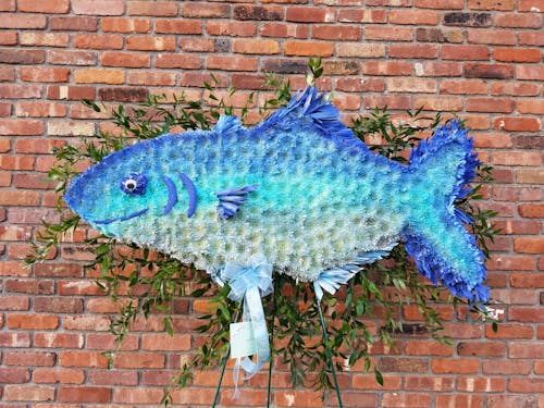 FISH 1