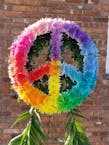 Peace Sign