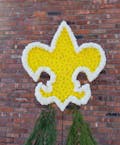 Scout Emblem