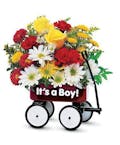 Baby's First Wagon Boy