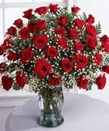 Beautiful Hand Picked  Red Roses 