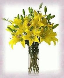 Brighten Someone's Day today! 