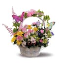 Butterfly Basket