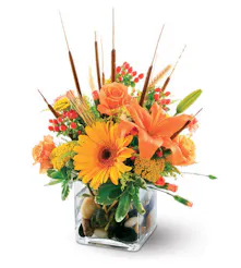 The Essence Of Autumn Beauty 