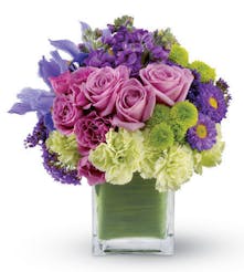 An Expression Of Passion 