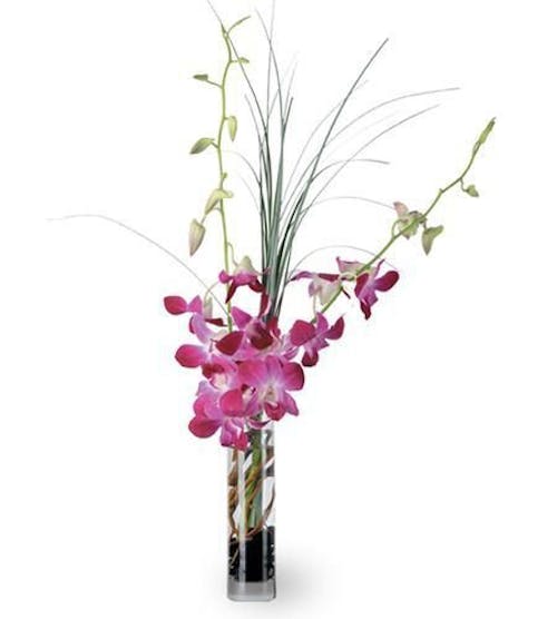 Blooming Orchid Vase