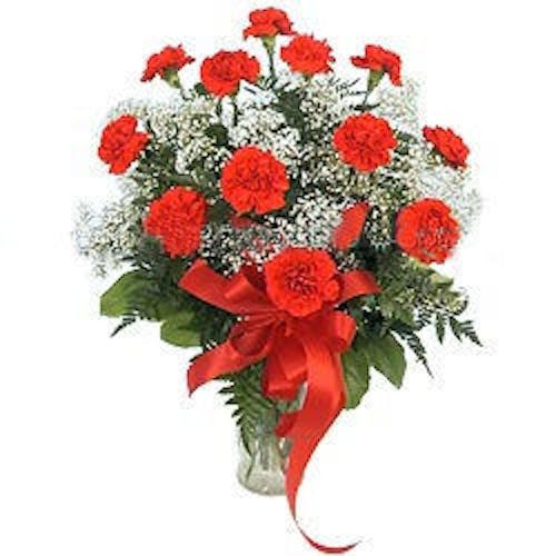 Carnation Expressions - River Dell Flowers-Oradell Florist-Flower Delivery