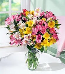 Hand Picked and Designed 