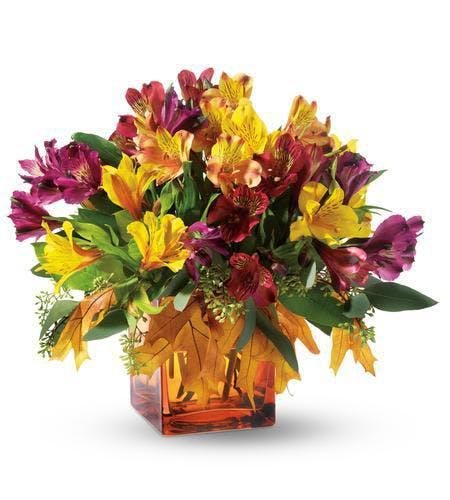 Fall Lillies