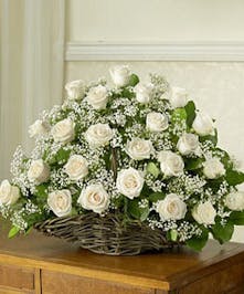 Pure White Roses 