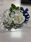 Dianthus 2