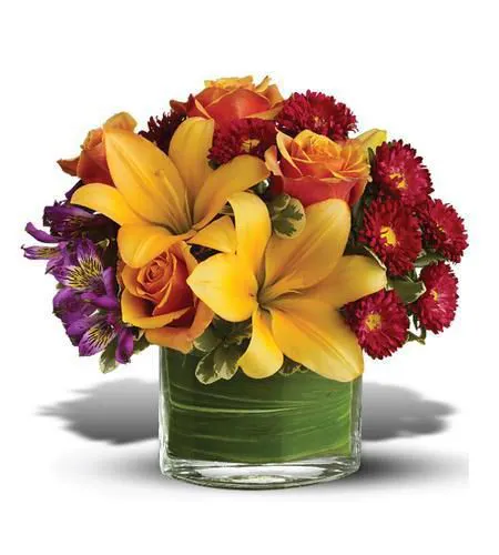Joyful Blossoms