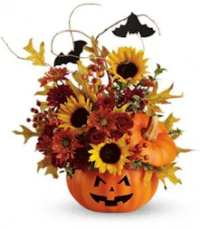 Trick or Treat