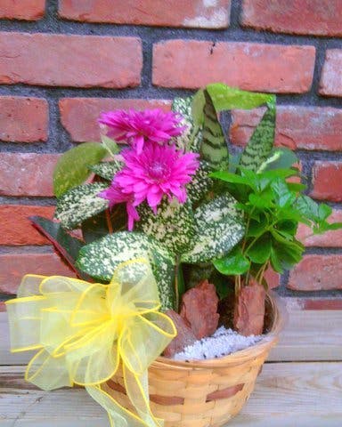 Basket Planter