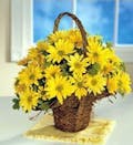 Yellow Daisy Basket