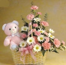 With Teddy Bear Included! 