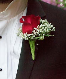 Red rose with babys breath 
