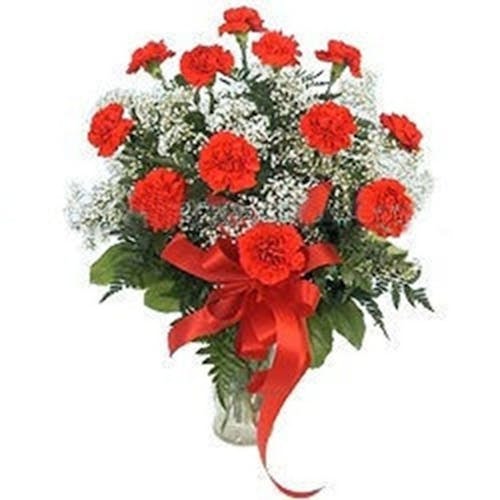 Carnation Expressions