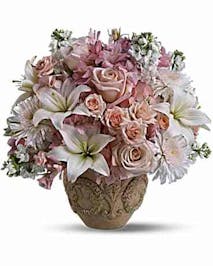 Comfort & Compassion 