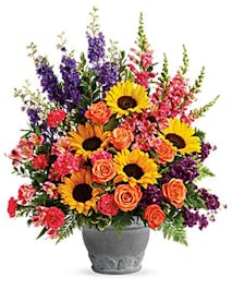 Comfort & Compassion 