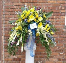 Deepest Understanding