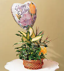 With Balloon Included! 