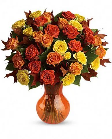 Fabulous Fall Roses