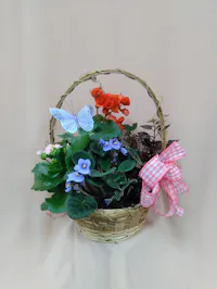 Indoor Flowering Basket 