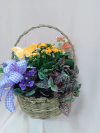 Indoor Flowering Basket 