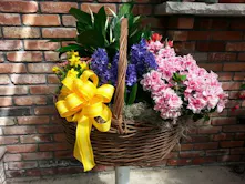 Spring Flowering Garden