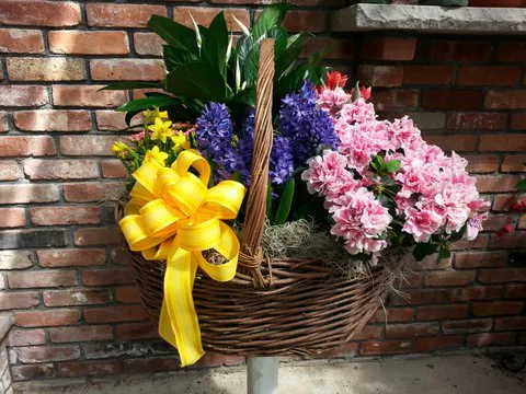 Spring Flowering Garden