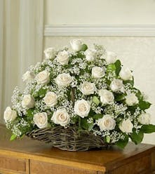 Pure White Roses 