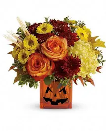 Spellbinding halloween... 
