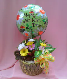 Mother's Day Dish Garden