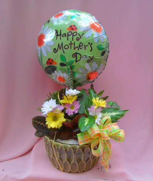 Mother's Day Dish Garden