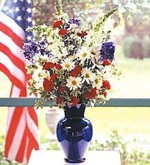 Patriotic Beauty