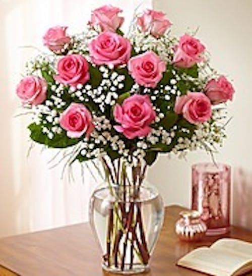 Passionate Pink Roses