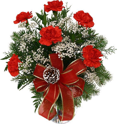 Happy Holiday Carnations