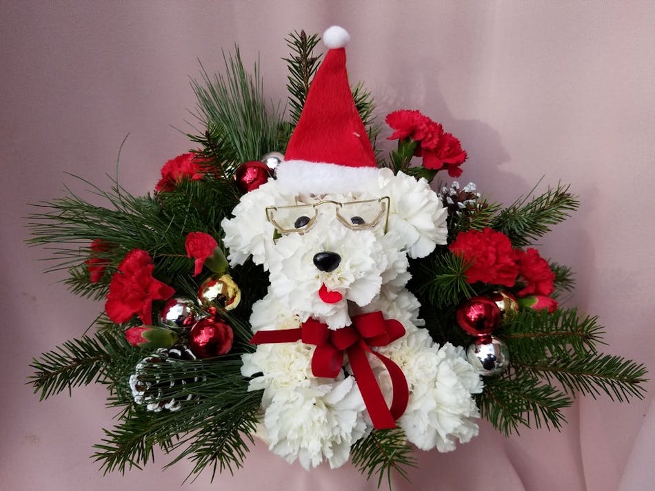 Santa Paws - River Dell Flowers-Oradell Florist-Flower Delivery