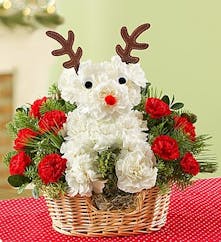 Santas best reindeer.... 