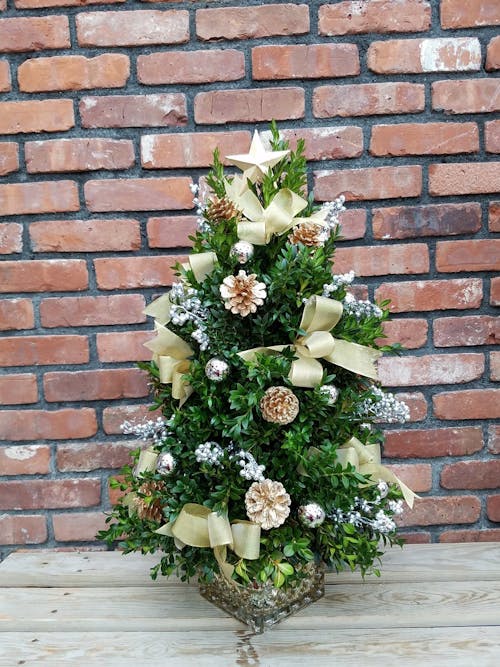 Silver & Gold Boxwood Tree