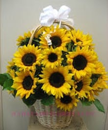 Handled wicker basket filled with Sunflowers 