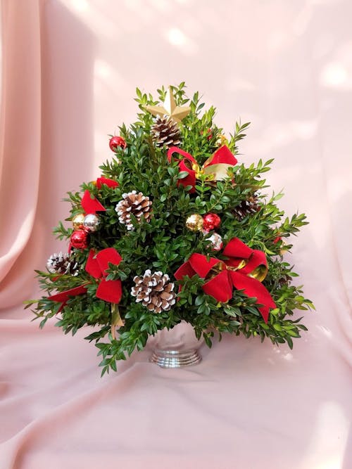 Traditional Boxwood Tree