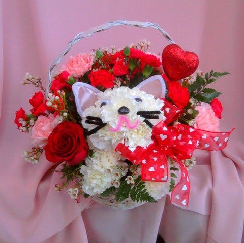 Cats are purr...fect for love