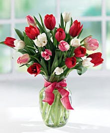 Timeless Beauty of Assorted Cut Tulips 