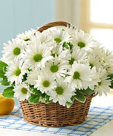 Country Daisy Basket